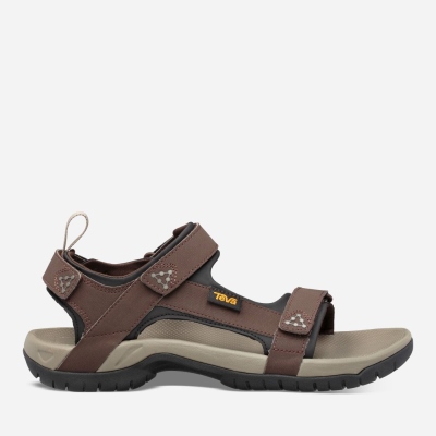 Teva Meacham Men's Chocolate Brown Hiking Sandals CA89182 Canada Sale